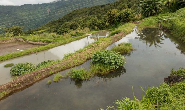 MIID signs MoU with Ministry of Environmental Conservation and Forestry