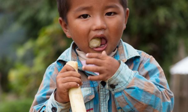 MIID launches New Nutrition-Sensitive Agriculture Project in Chin State