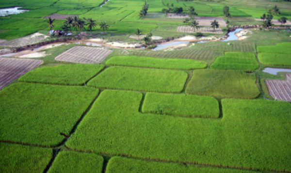 MIID Brings Farmers to the Department of Agriculture Research to Learn About Value Chains