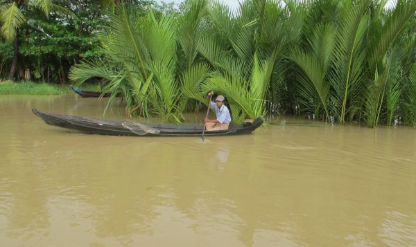 MIID conducts Agriculture Training in six villages of the Ayeyarwaddy and Thanlwin Rivers Basins