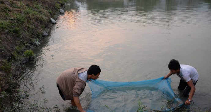 Fish farmers Chin state